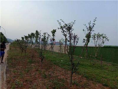 :ƺXһƽ|(zh)߃r(yu)/ʩ