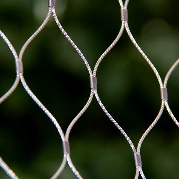 SֱNﲣo(h)W(wng) ꖹⷿҾW(wng) һǷړ