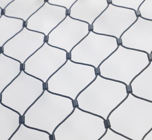 ֲﲻP䓾W(wng) ꖹⷿo(h)W(wng) С^(q)W(wng) CzW(wng)߿ 쾮o(h)W(wng)P䓘_