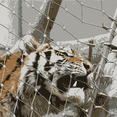 䓽zW(wng) ꖹⷿҾW(wng) ﲣo(h)W(wng) һǷo(h) P һǷړ