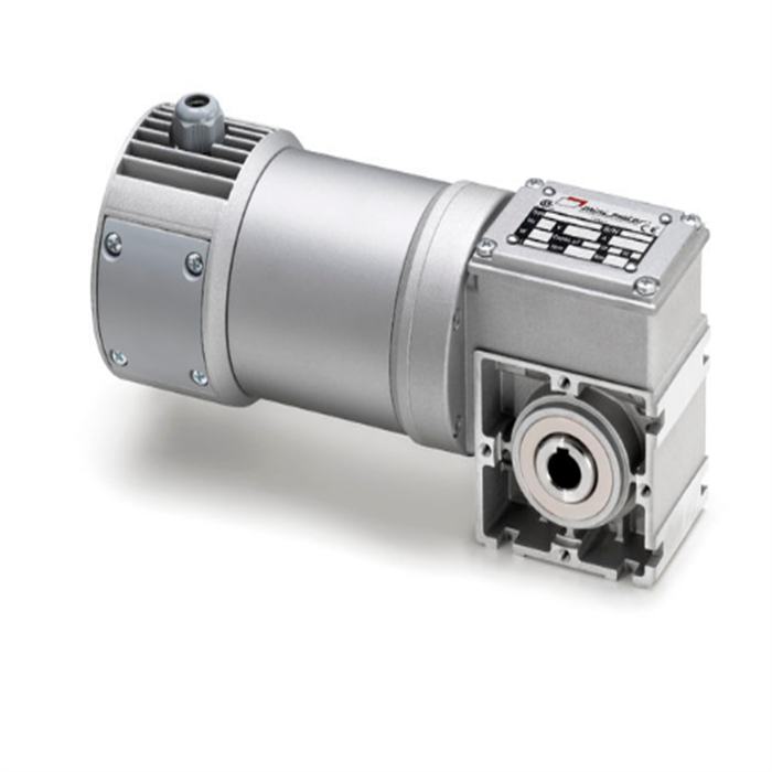 MINIMOTOR늙C(j)PCEWDBS 55/100 S3
