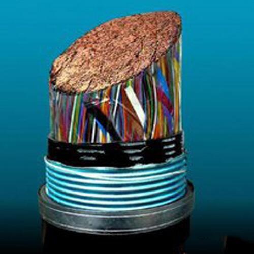 PTYA22F·̖(ho)|-F·̖(ho)|a(chn)S