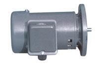 新聞:淶源縣Minchuen立式電機NL05-50220703圖紙