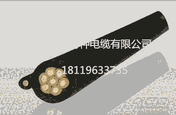 U1000 R2V  3*4.0 CEJ(rn)C   EACJ(rn)C SAAJ(rn)C