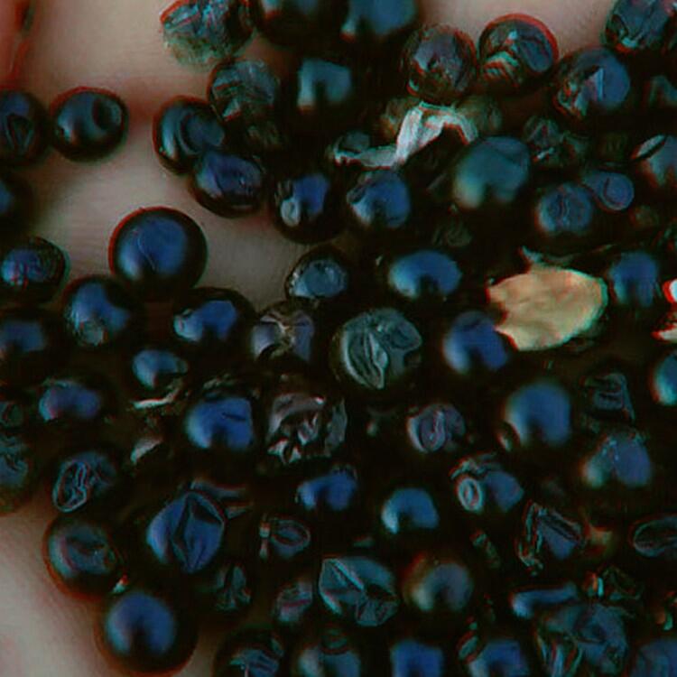 ɷNӈr шDƬ