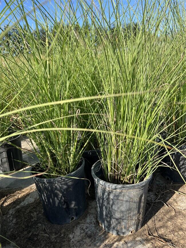 (x)~âNֲأԮa(chn)Nһ؛Դ