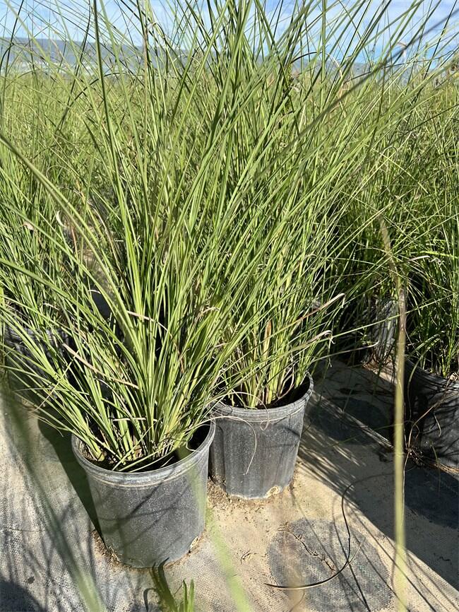 (x)~âSң(x)~âl(f)r(ji)