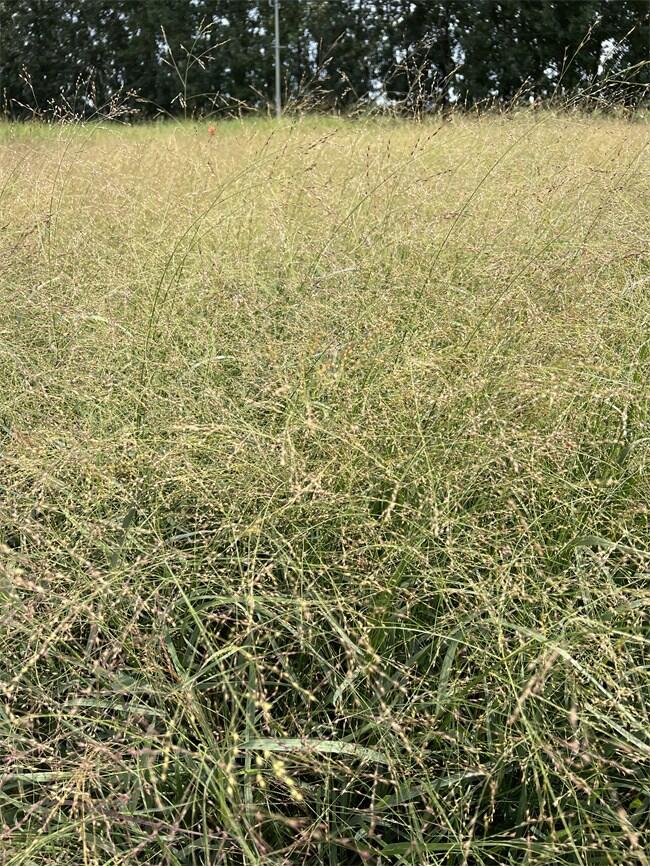 ؽ֦𢹩(yng)S  r(yu)