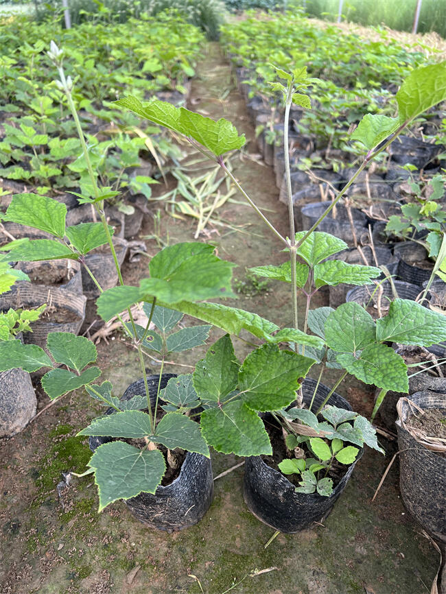 ~F(xin)ɏС  a(chn)؛Դ