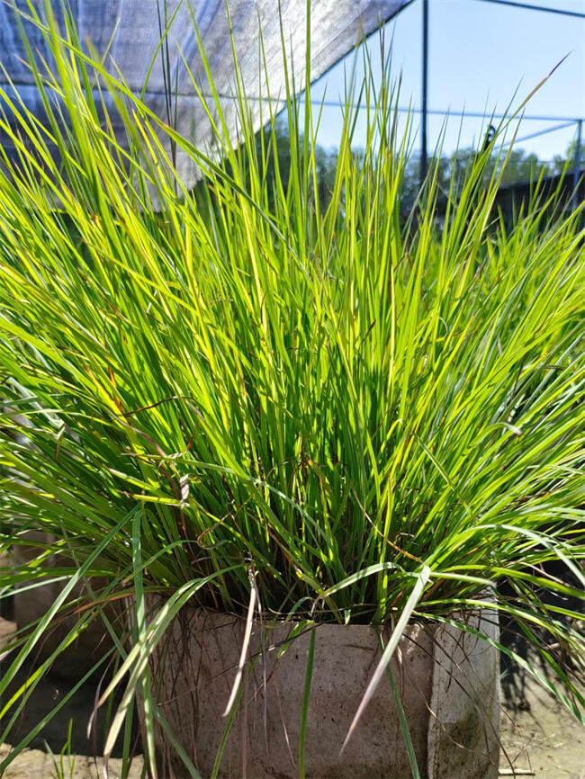 â݃r(ji)񡿱âl(f)r(ji)