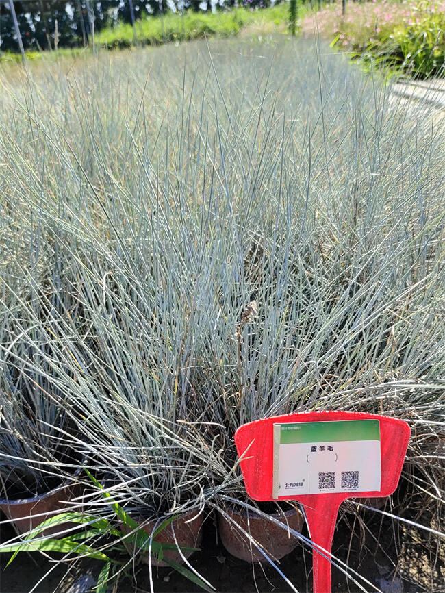 {(ln)éS/{(ln)éСl(f)S