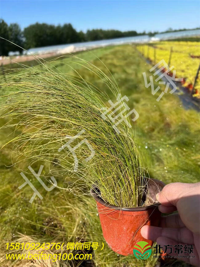 é-SֱN(xio)  ér(ji)񱱷G