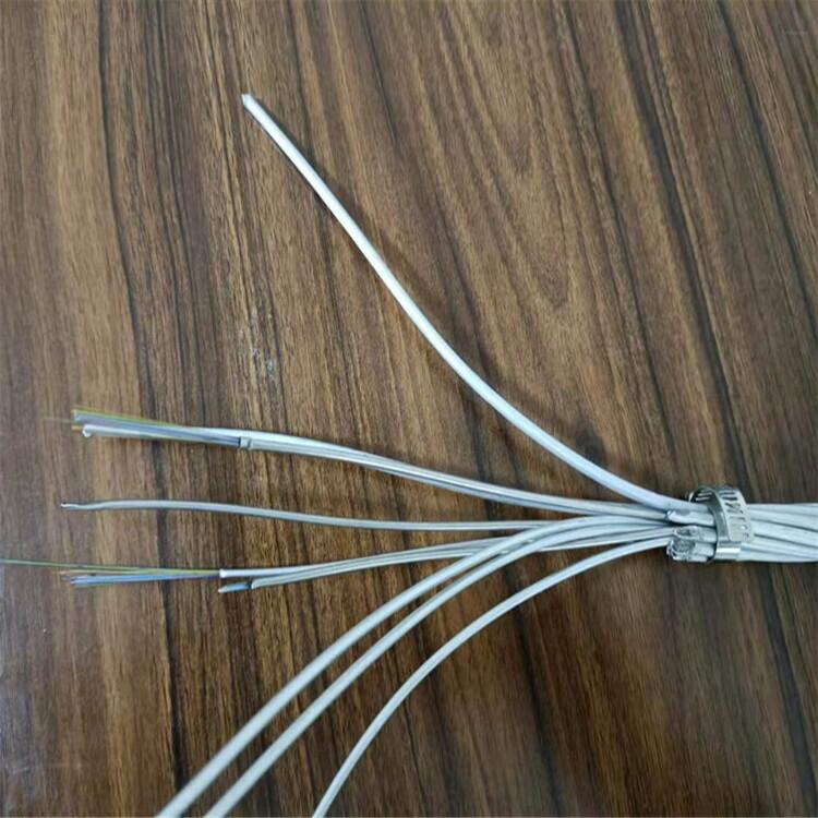 OPGWw(f)ϵؾ-24B1-150(ni)ɹ