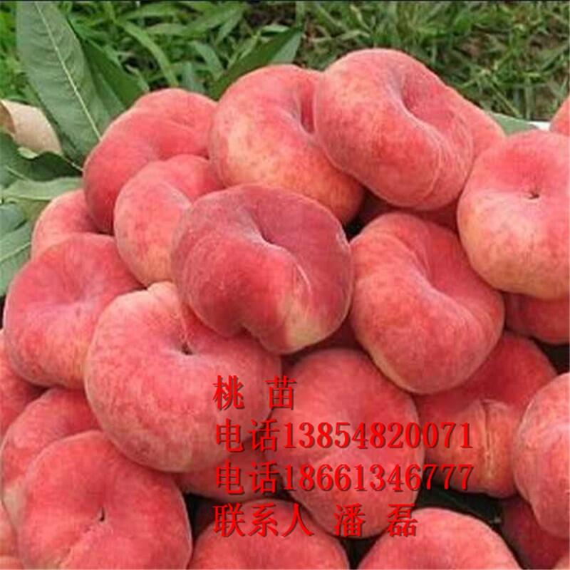 Ҙ硢ҘƷNҘr(ji)