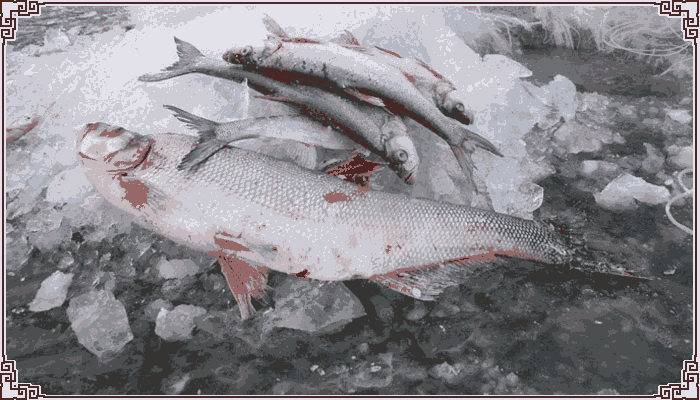 2019dP~(y)r(ji)|dP~(y)(bo)r(ji)