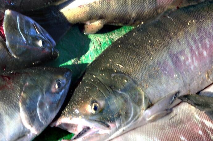 R~(y)Ј(chng)r(ji)R~(y)l(f)r(ji)R~(y)ʲôr(ji)