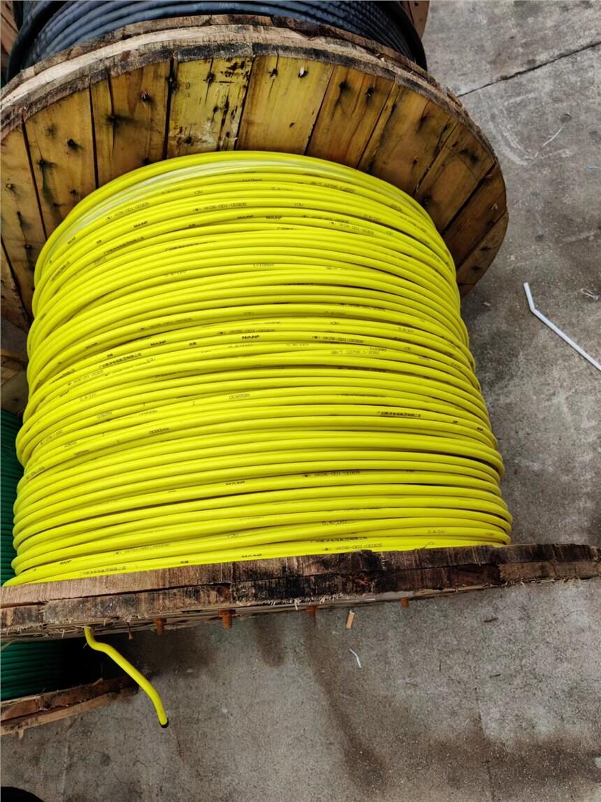 V|F(tun)Sҹ(yng)YJV-0.6/1kV-1*10ϵ~о(lin)|
