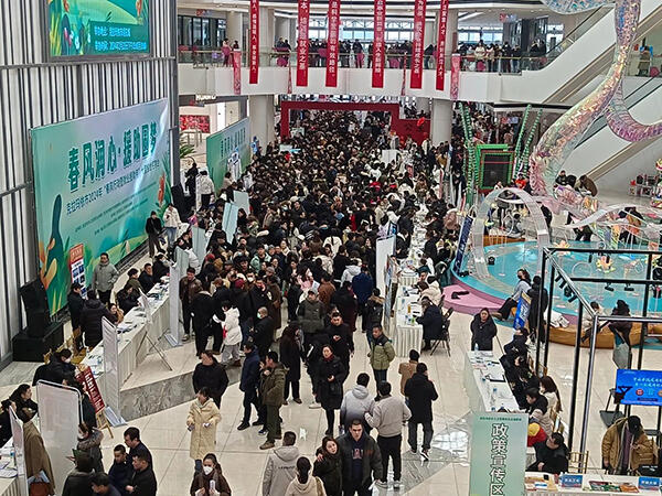 德生科技助力克拉瑪依市公共就業(yè)服務(wù)精準(zhǔn)觸達(dá)群眾