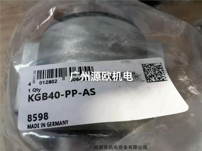 KGBO30-PP-AS VԴWC(j) Nԭb(gu)INAֱr