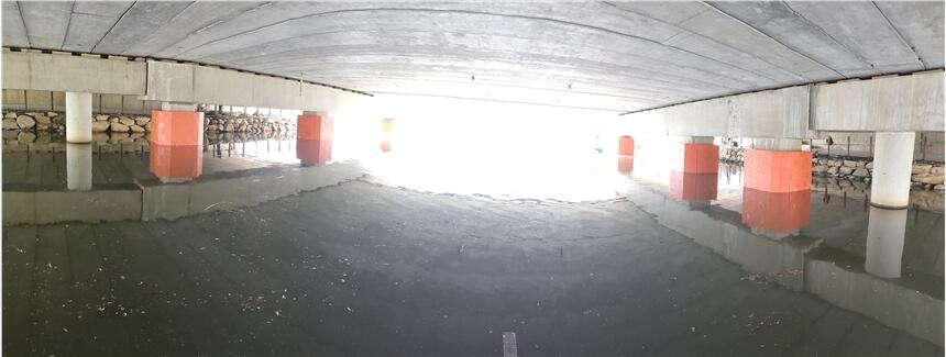 (mng)G(zhn)ˮ(xing)Ŀײ