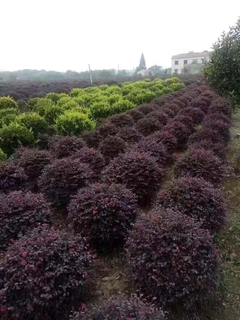 ]:3ּt~ʯ骮a(chn)l(f)