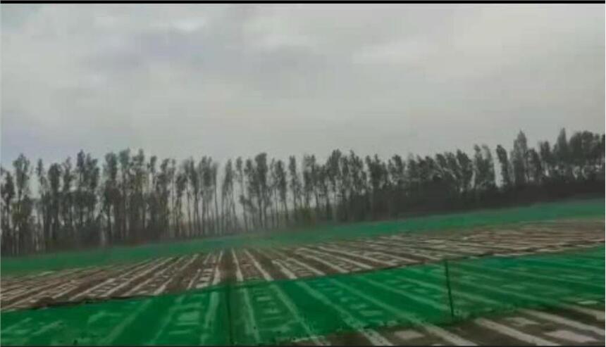 ½޻طNֲL(fng)W(wng)GɫL(fng)řھW(wng)L(fng)W(wng)Sl(f)