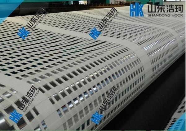 V  wSW(wng) o(h)W(wng) wS