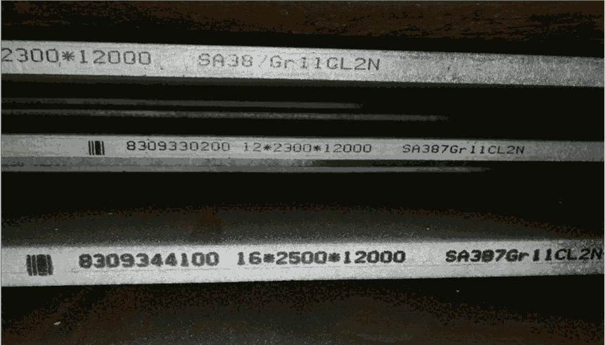(bio)SA387Gr11CL2