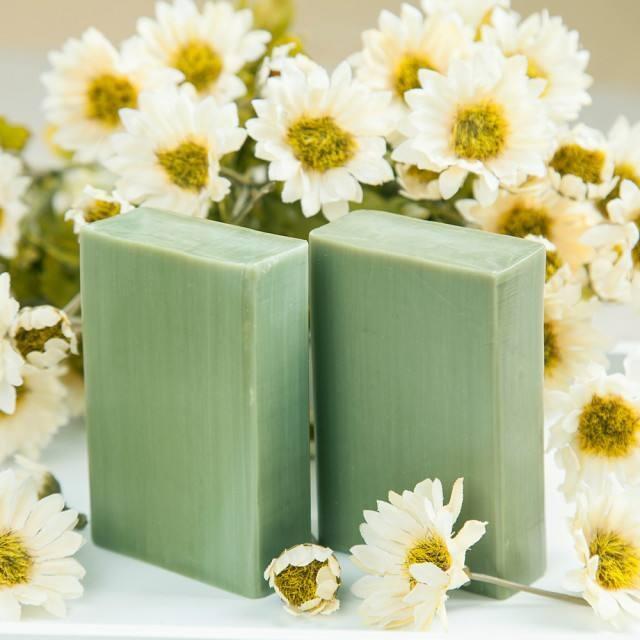 oM(jn)ڵVݵ(bo)P(gun)Ҫ