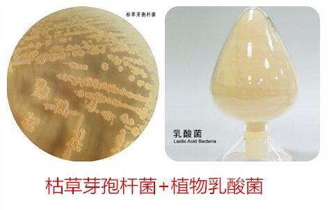 n(gu)ӄM(jn)P(gun)֮(gu)(ni)ͨP(gun)˾