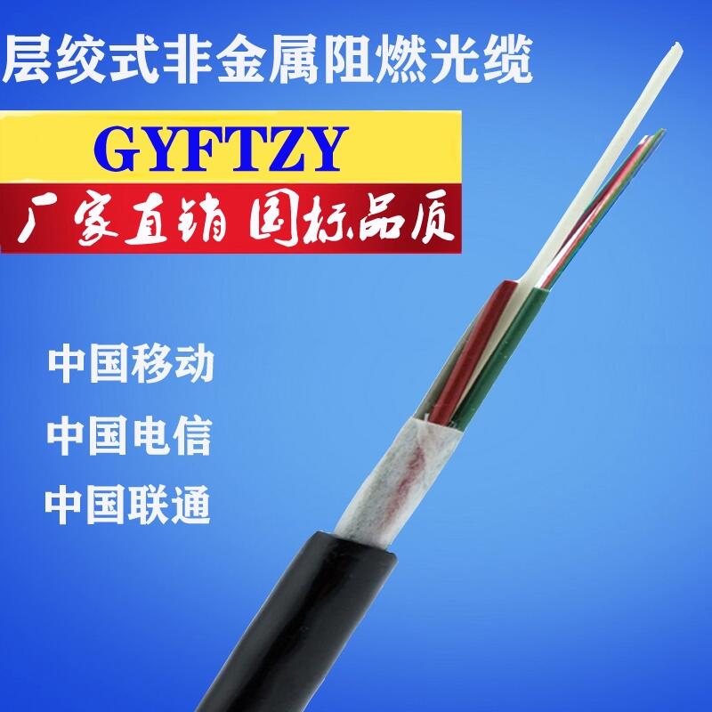 ȼ|ǽȼ|GYFTZY-24B1SֱN