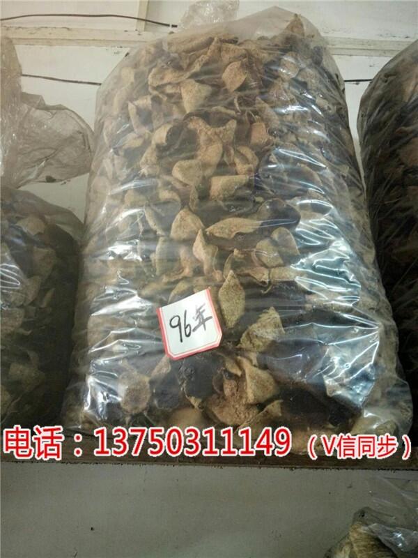 V2018(hu)Ƥr(ji)顾GW(wng)