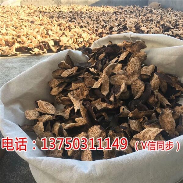 V2018(hu)Ƥr(ji)顾_(ti)W(wng)