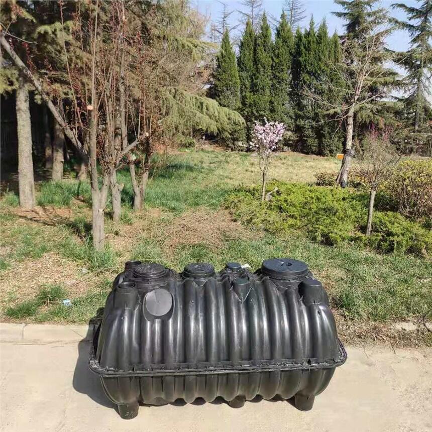 ʽS ӺCpeϻS ߂(g)Sl(f)
