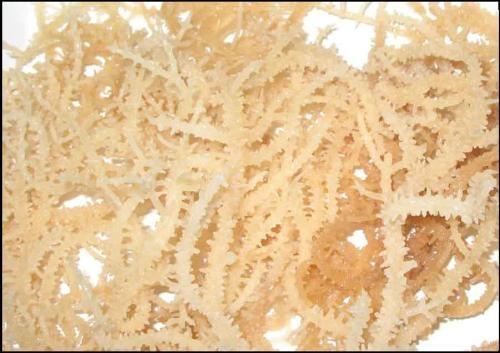 еM(jn)ںصP(gun)P(gun)˽^