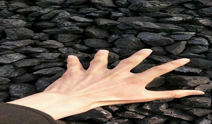 gӭVho(w)úVϼg(sh)Ҫ