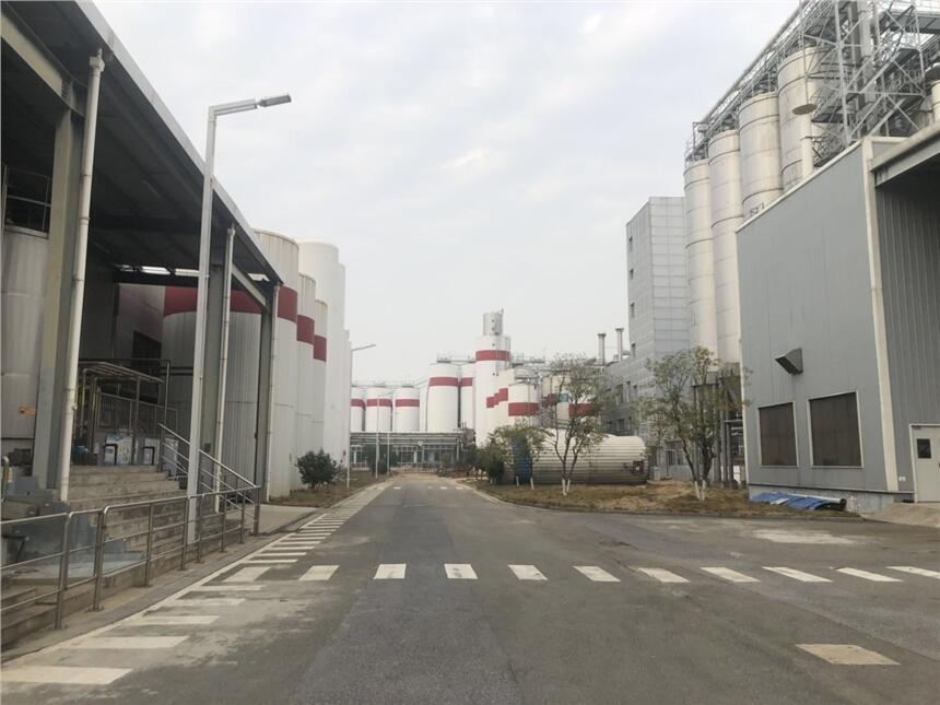 ͲI(y)?d)zy(c)ȫ(xing)(bo)