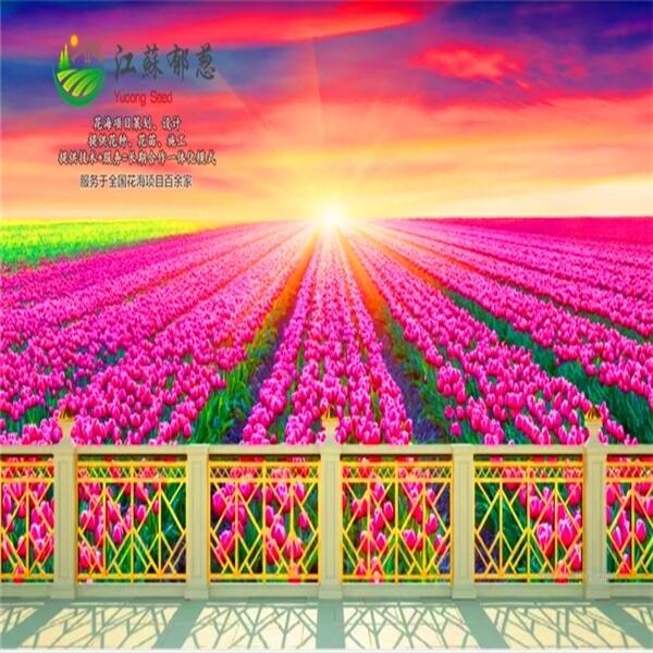 ϳлʩҎ(gu)O(sh)Ӌ(j)