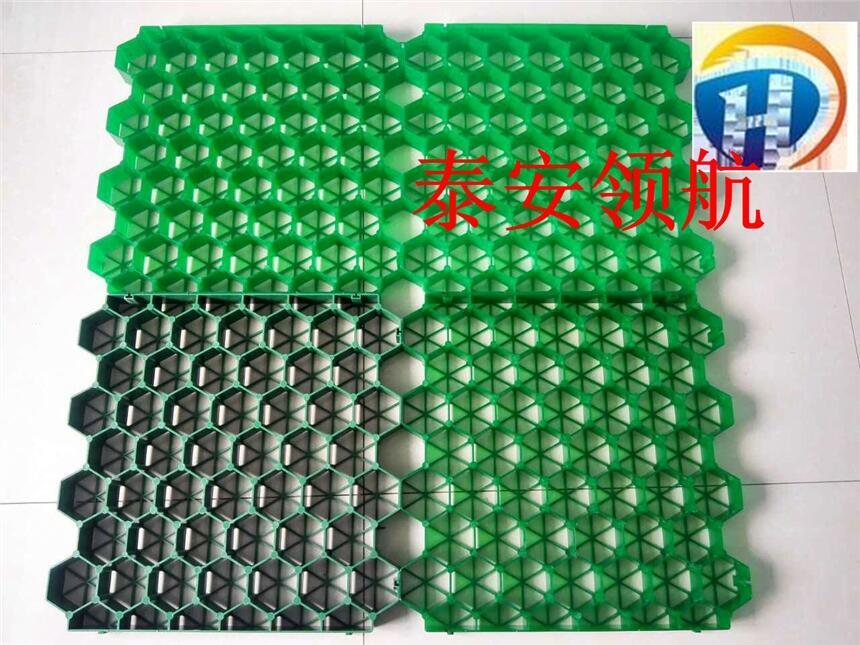 Vͣ܇(ch)(chng)ֲݸS(chng)ҬF(xin)؛(yng)(k)