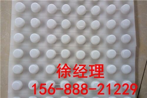 恩施市20厚排水板廠家直銷價(jià)格