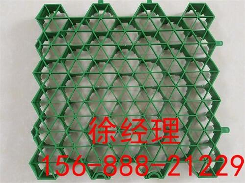 仙桃停車場(chǎng)植草格廠家批發(fā)價(jià)