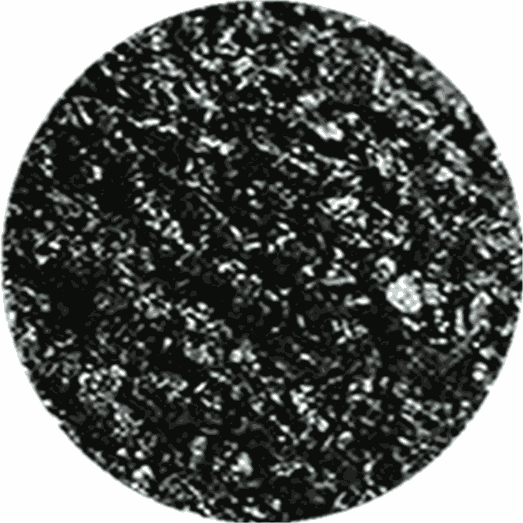 |ǅ^(q)AC10Ԟra(b)-؛\(yn)M