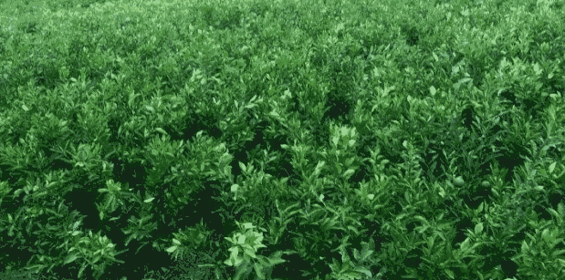 Ǹ۸̽ƷN&Ǹ۸̽ƷNr(ji)ѽ&Ǹ۹(yng)̽۷N磿