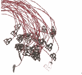 ቺ^fϽ^ձfϽ^M(jn)ڟቺ^M(jn)ڟቺ^