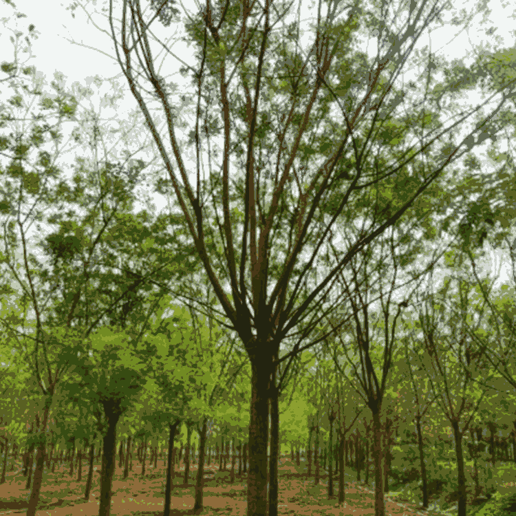 ؾGе  (gu) {(dio)(ji) ֱͨ L(zhng)ֱ(gu)