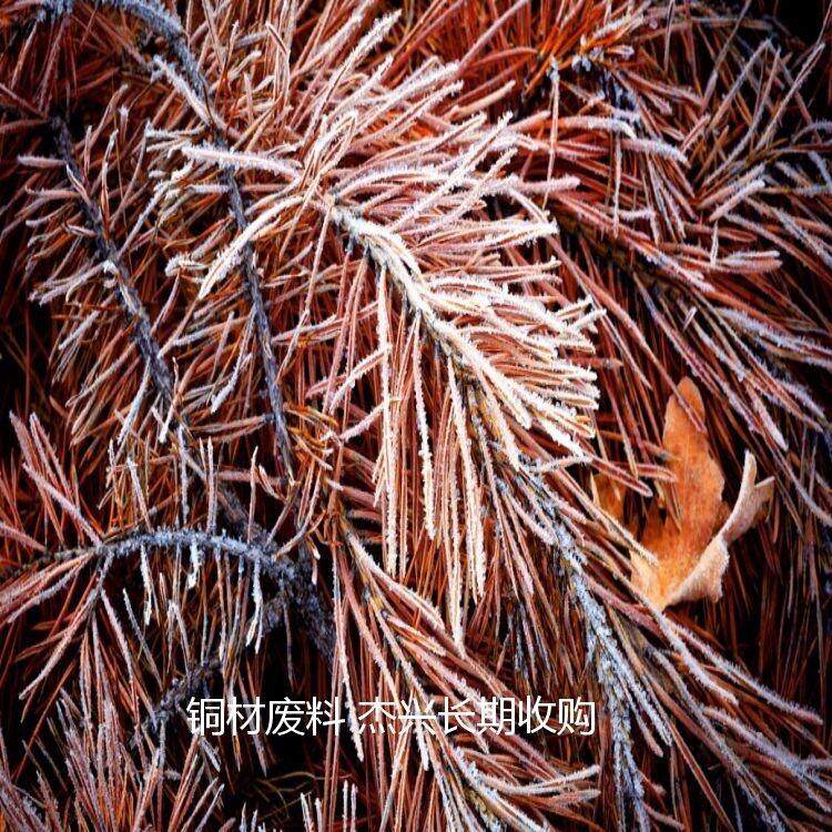 ^(q)U~~(xin)T(mn)׃F(xin)(w)