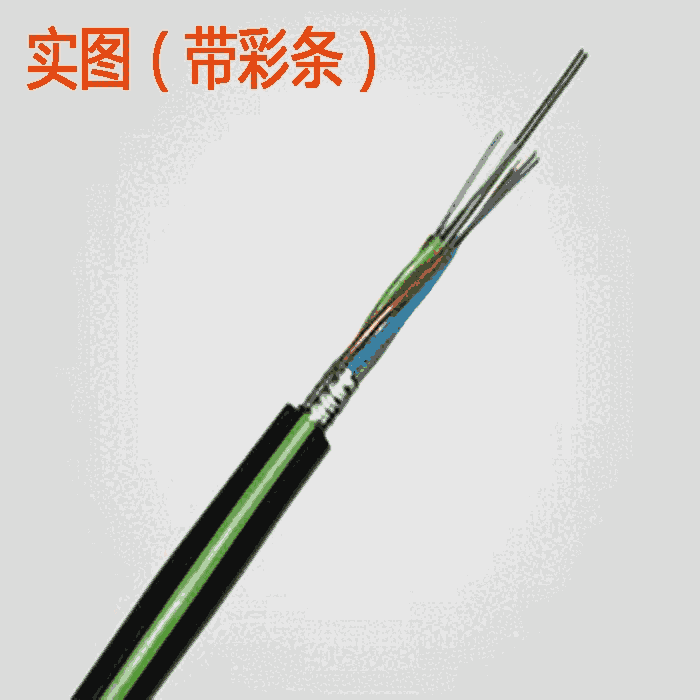 GYTZS|GYTZS|r(ji)GYTZS|(bo)r(ji)