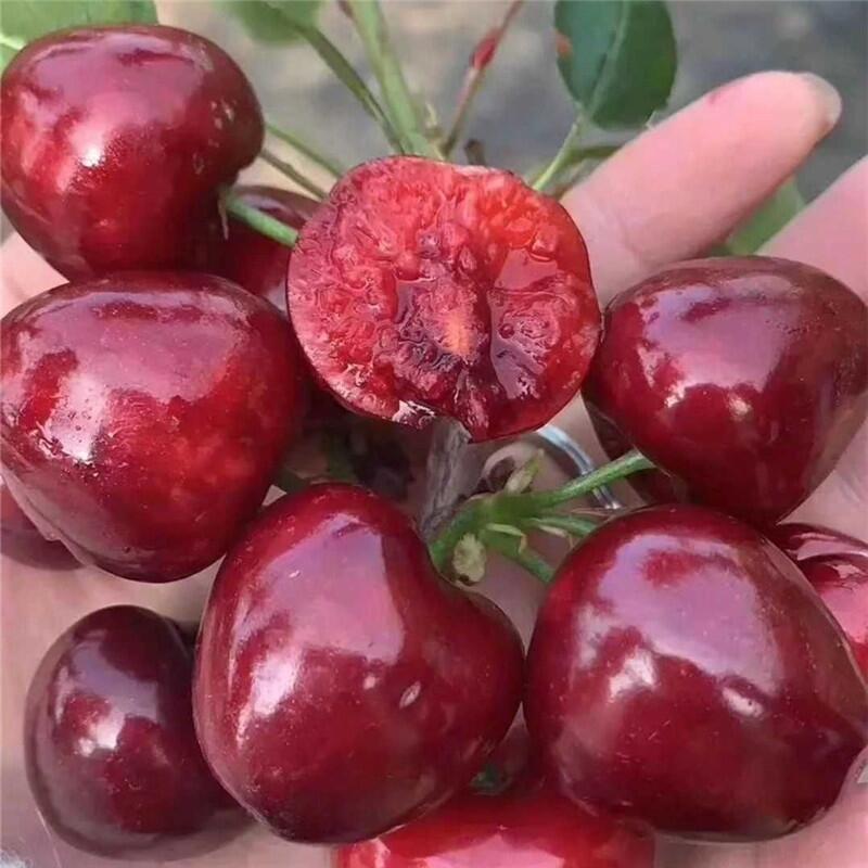 ܇?yn)әҘl(f) 1׸܇?yn)әr