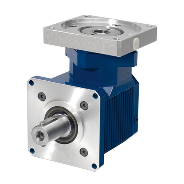 VOGELͱ ̖MKF1-KW2-20036 428