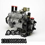 perkins˹ (dng)R_(d)